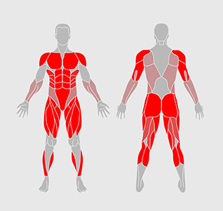 Screenshot of Landing Website project